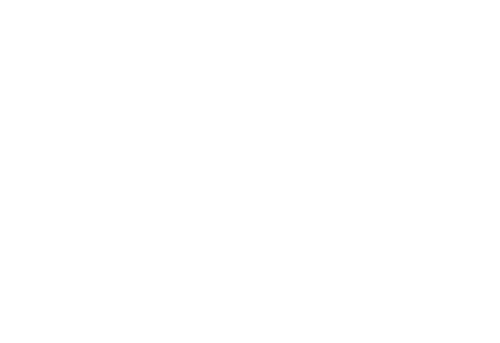 Natural State Wealth Advisors Logo